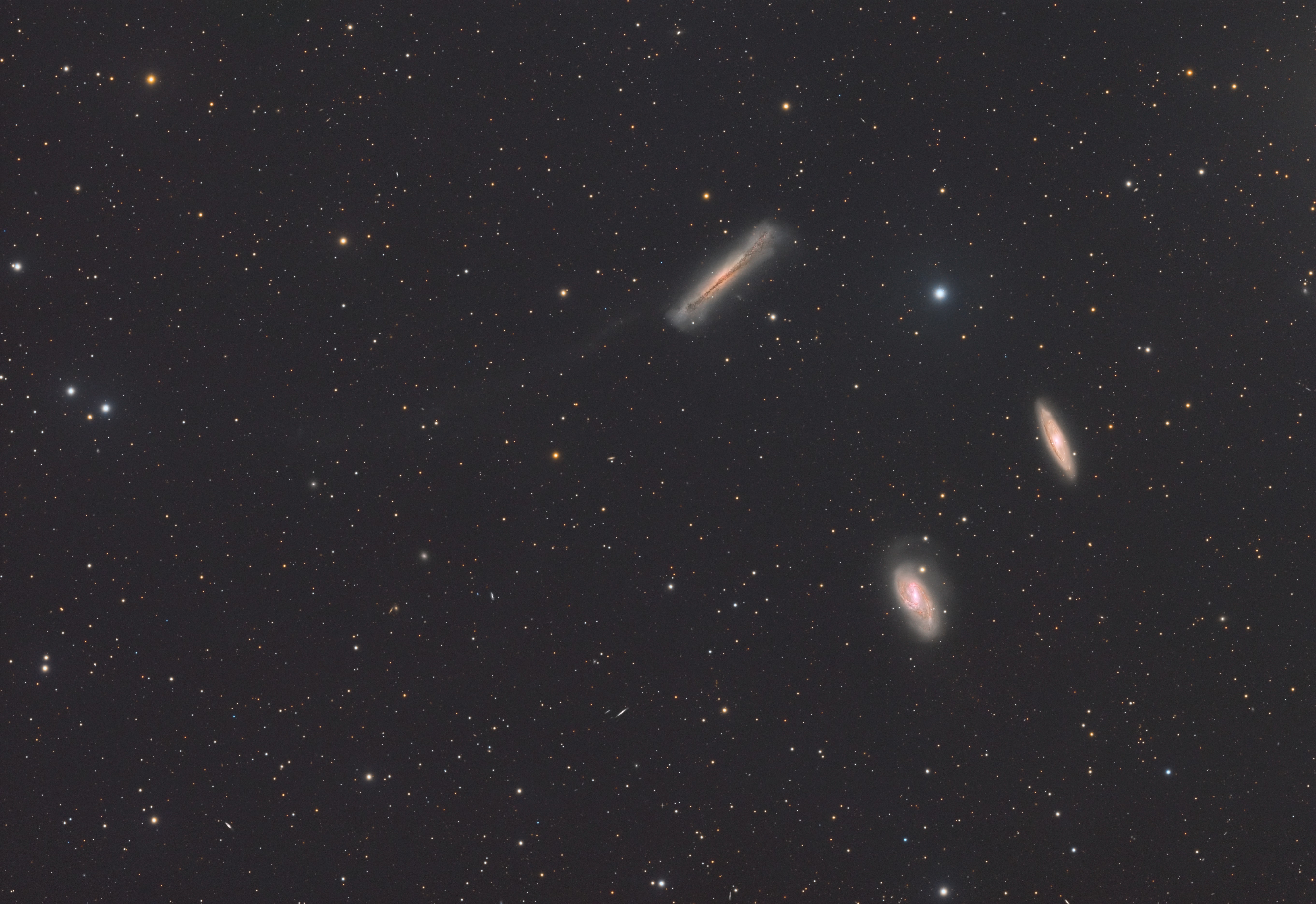 LEO TRIPLET ( M66 Group)